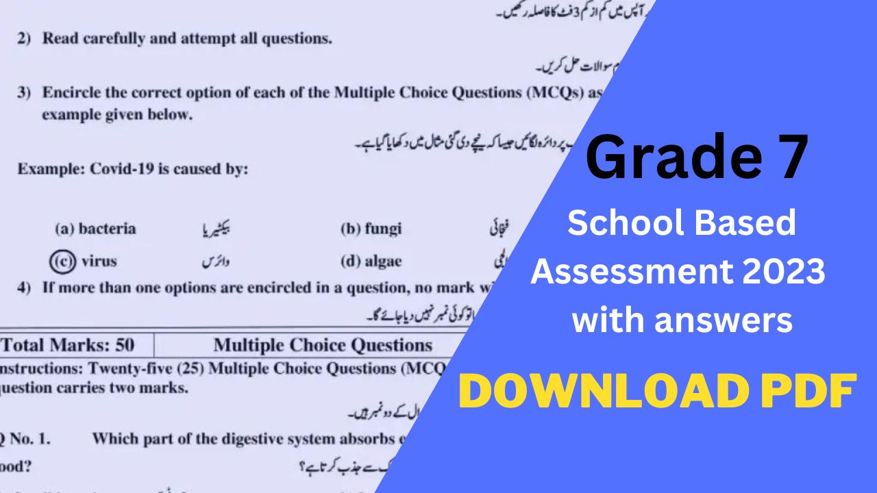 School Based Assessment 2024 Grade 7 with answers pdf